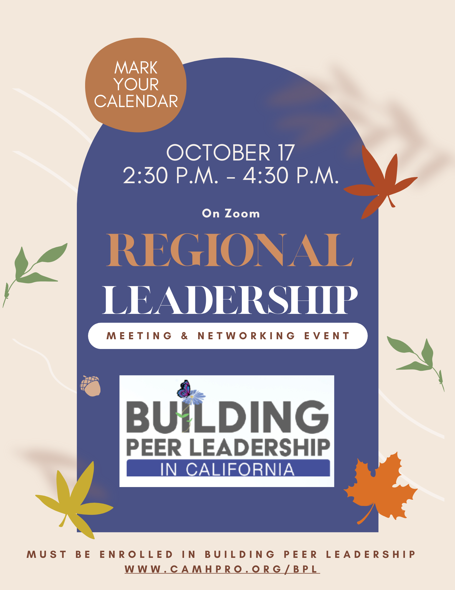 Regional Peer Leadership Meeting - Superior | CAMHPRO